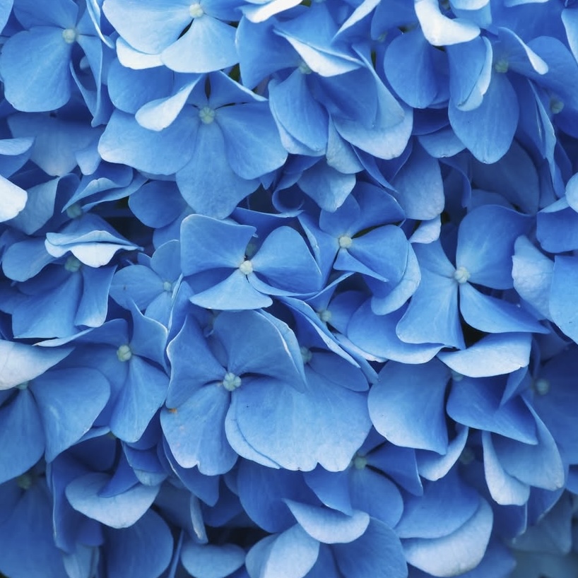 燕三条地域のイベントや風景を紹介する写真