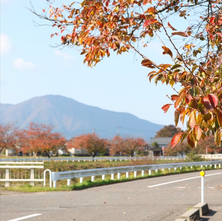 燕三条地域のイベントや風景を紹介する写真