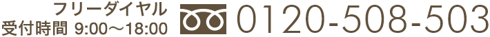 受付時間 9:00〜18:00 フリーダイヤル 0120-508-503